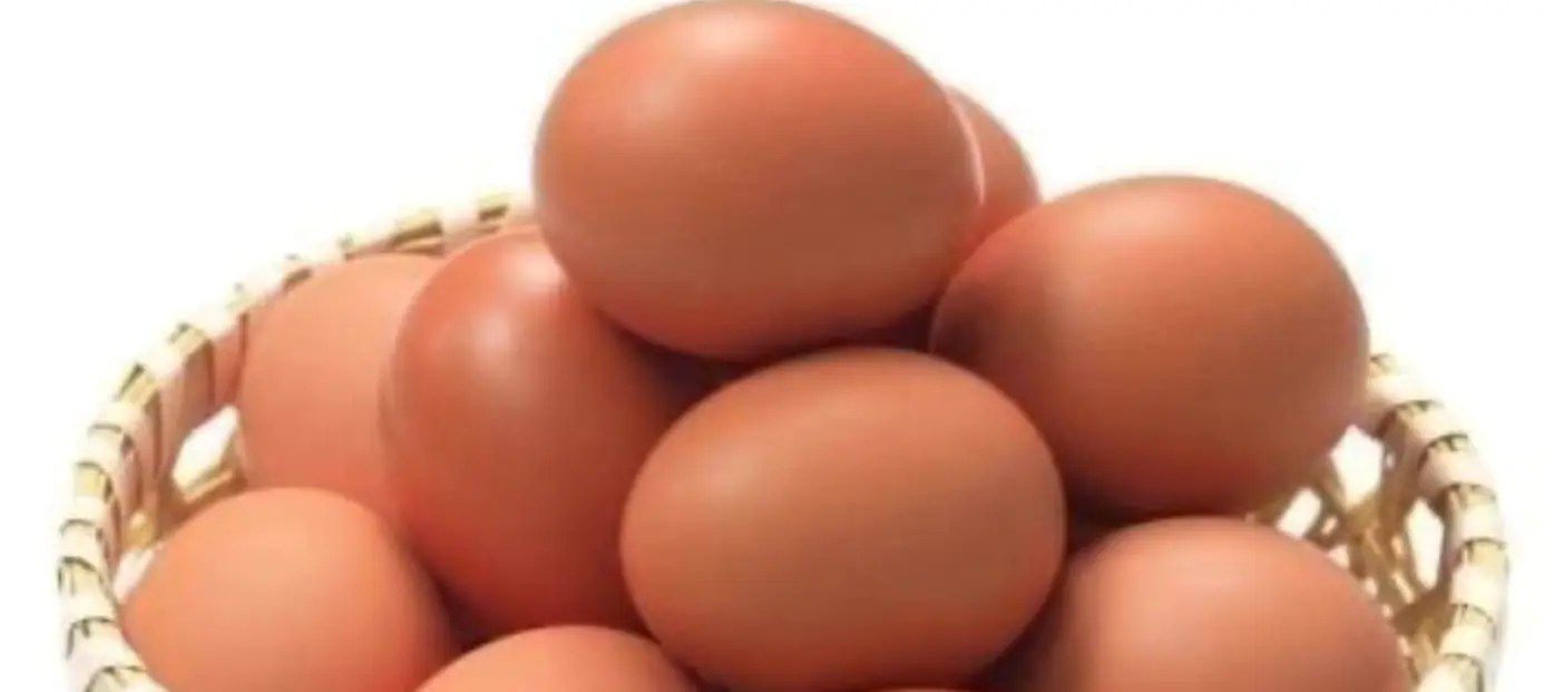 Levraifermier oeuf de la ferme d'akékoi