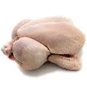 79HGF.webp