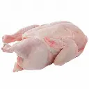 78XCVJ.webp
