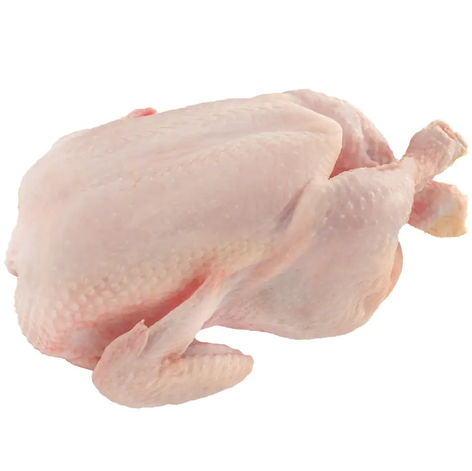 87P80.webp