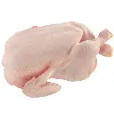 87P80.webp