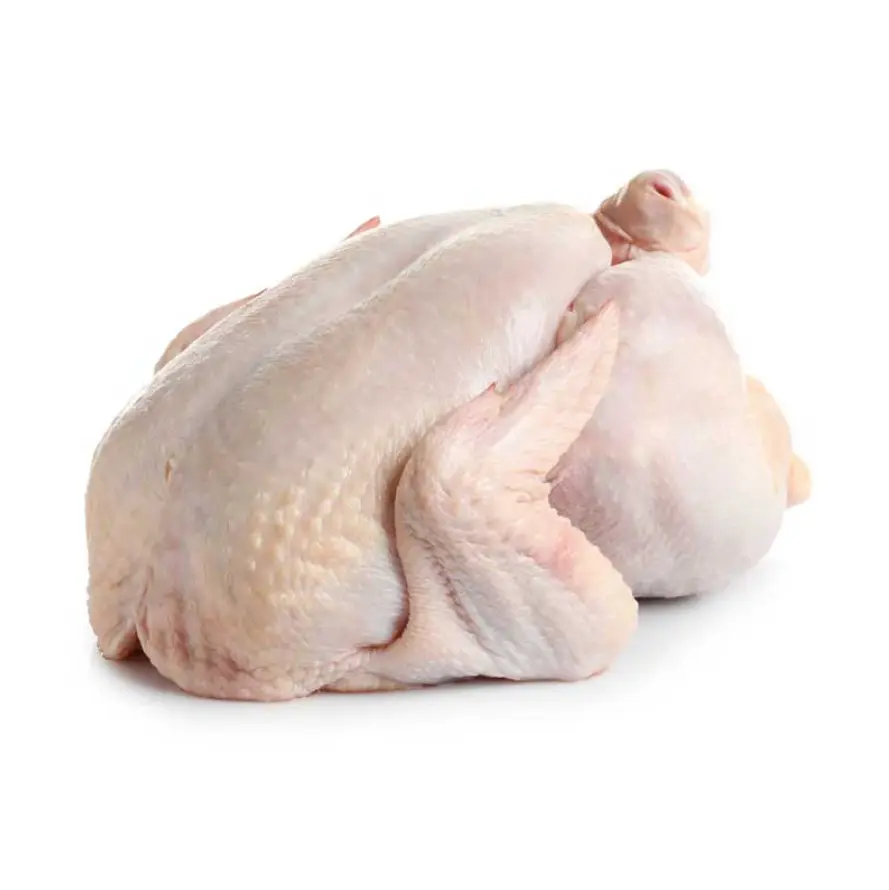 POULET HYBRIDE CRU
