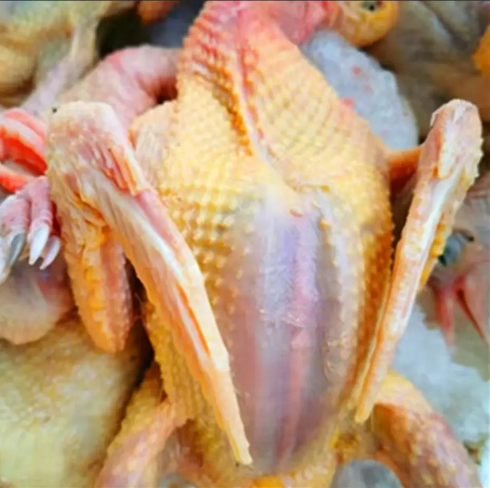 PIGEON FERMIER CRU