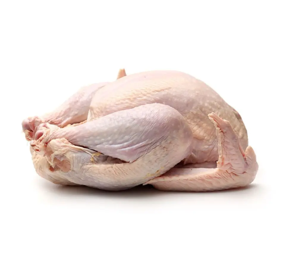 Dinde Ferme d'Akékoi