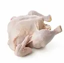   POULET COQUELET CRU