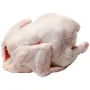 POULET COQUELET CRU