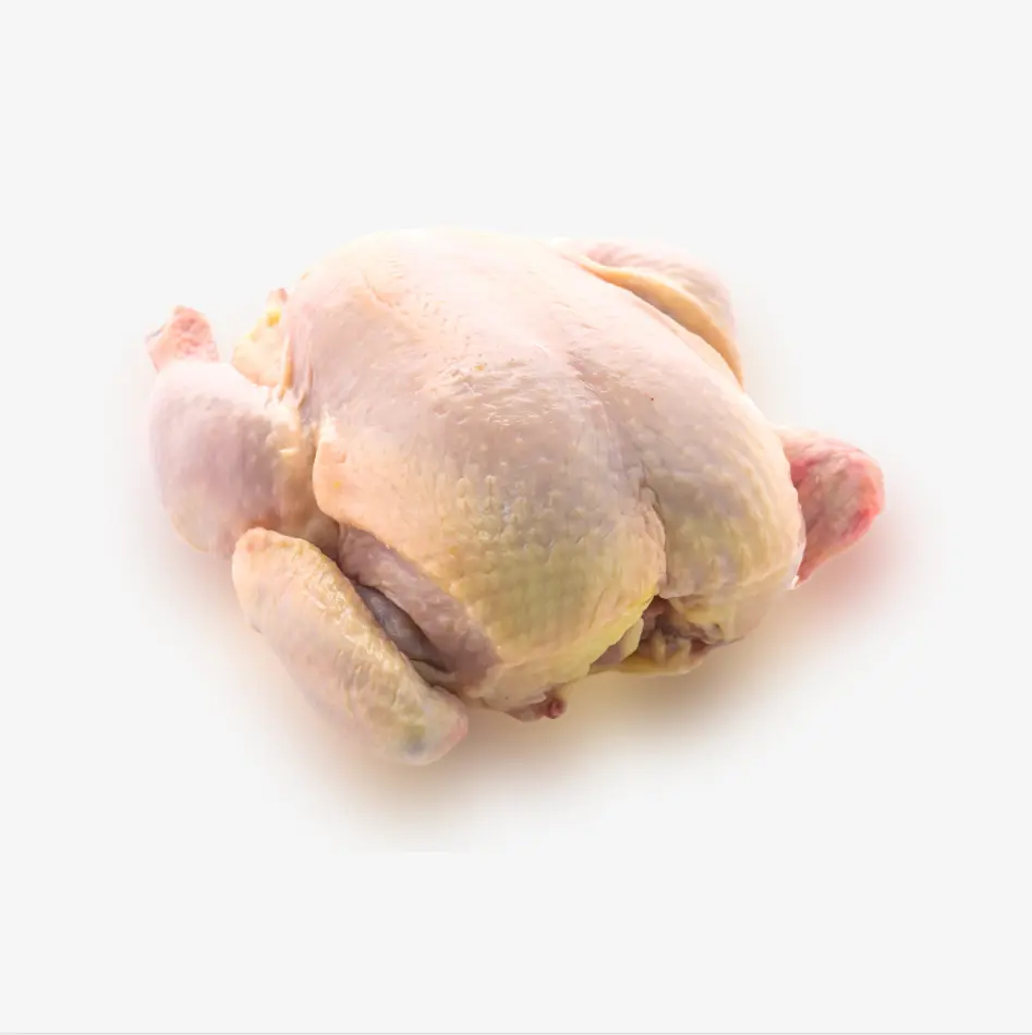 POULET DE CHAIR CRU