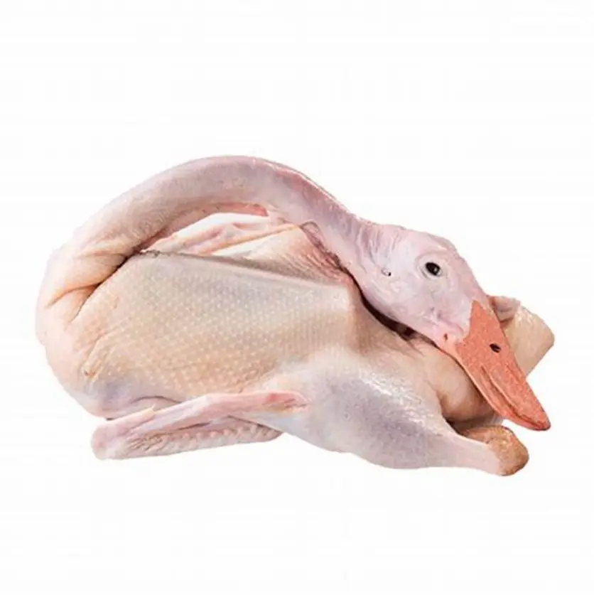 CANARD FERMIER CRU