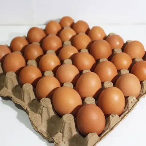 OEUF FERMIER 