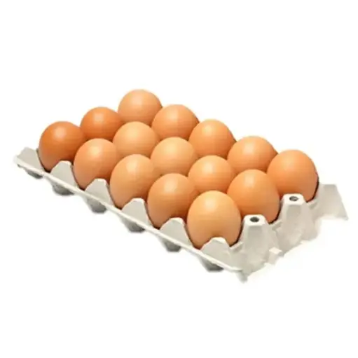 OEUF FERMIER