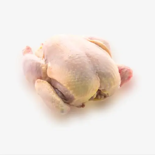 POULET DE CHAIR CRU
