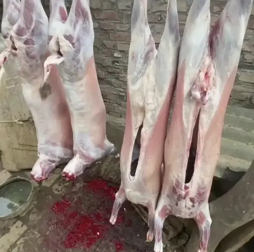 MOUTON FERMIER CRU / KG