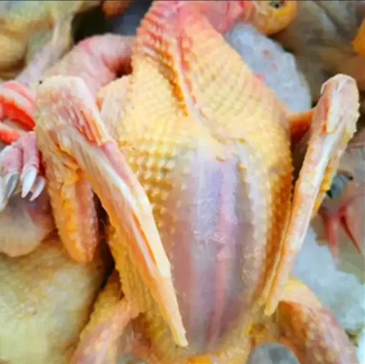 PIGEON FERMIER CRU